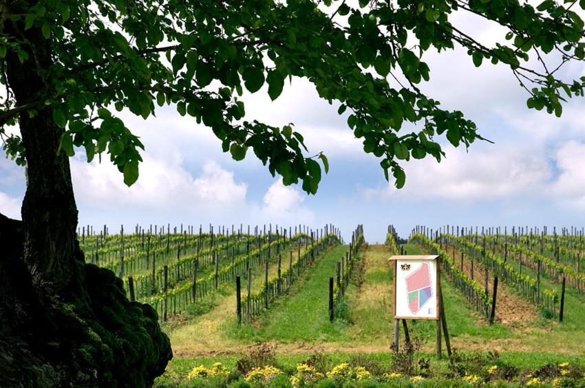 Country house I Grandi Di Toscana
