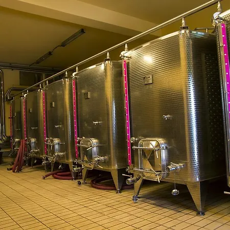Gasthaus I Grandi Di Toscana Ciggiano Exterior foto