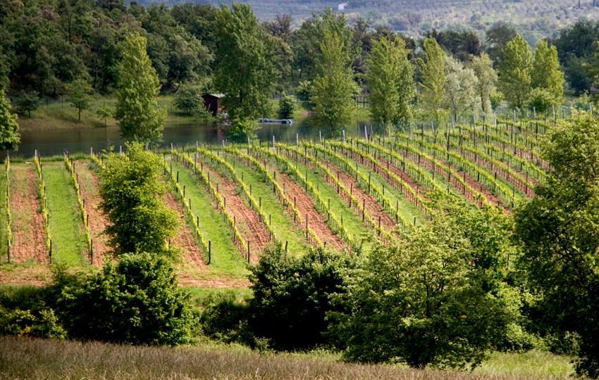 I Grandi Di Toscana * Ciggiano