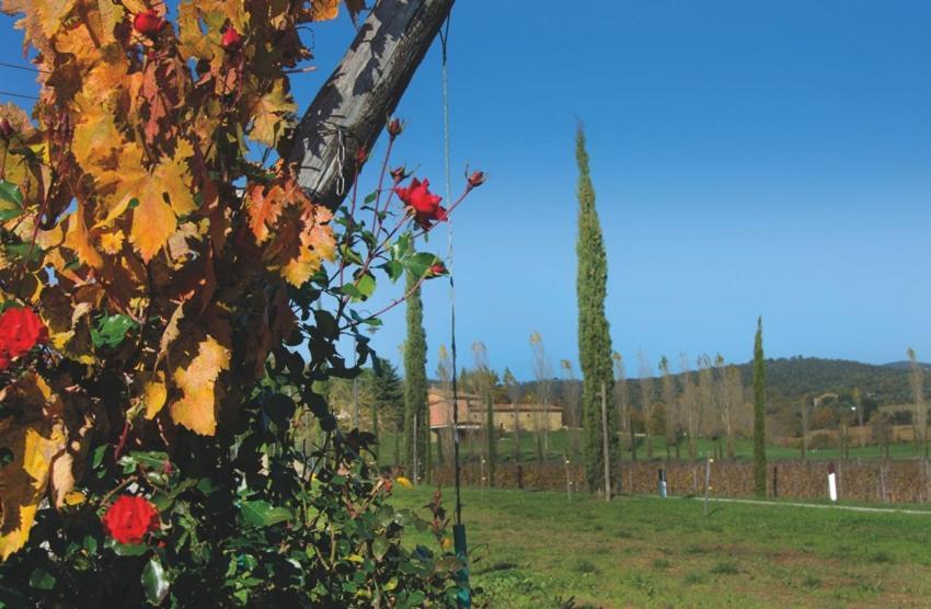 I Grandi Di Toscana Landhaus Ciggiano